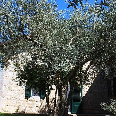 Appartamento Le Tre Palme Frigintini Exterior foto